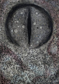 Eye of the Serpent