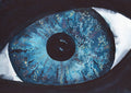 Iris: Water Pierce
