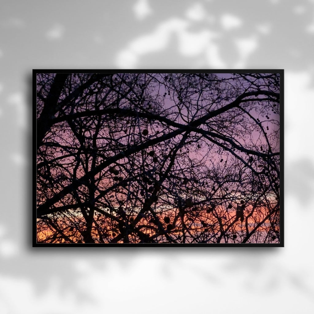 Gradients of Sunrise