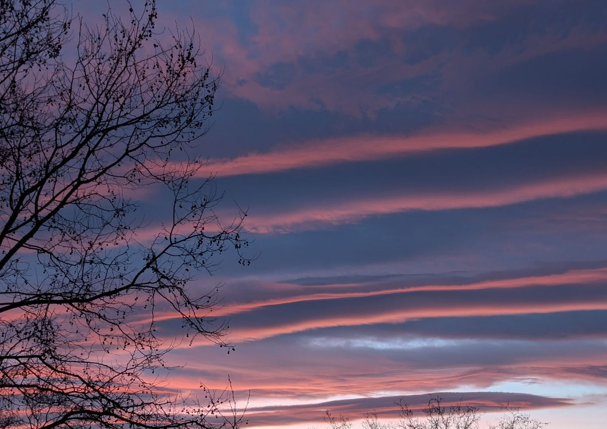 The Waves in the Sky