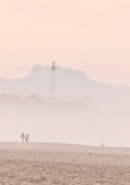 Mist