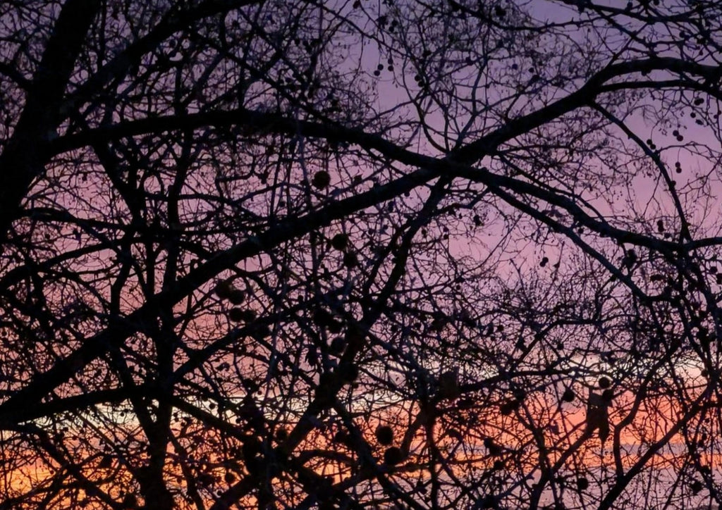 Gradients of Sunrise