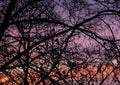 Gradients of Sunrise