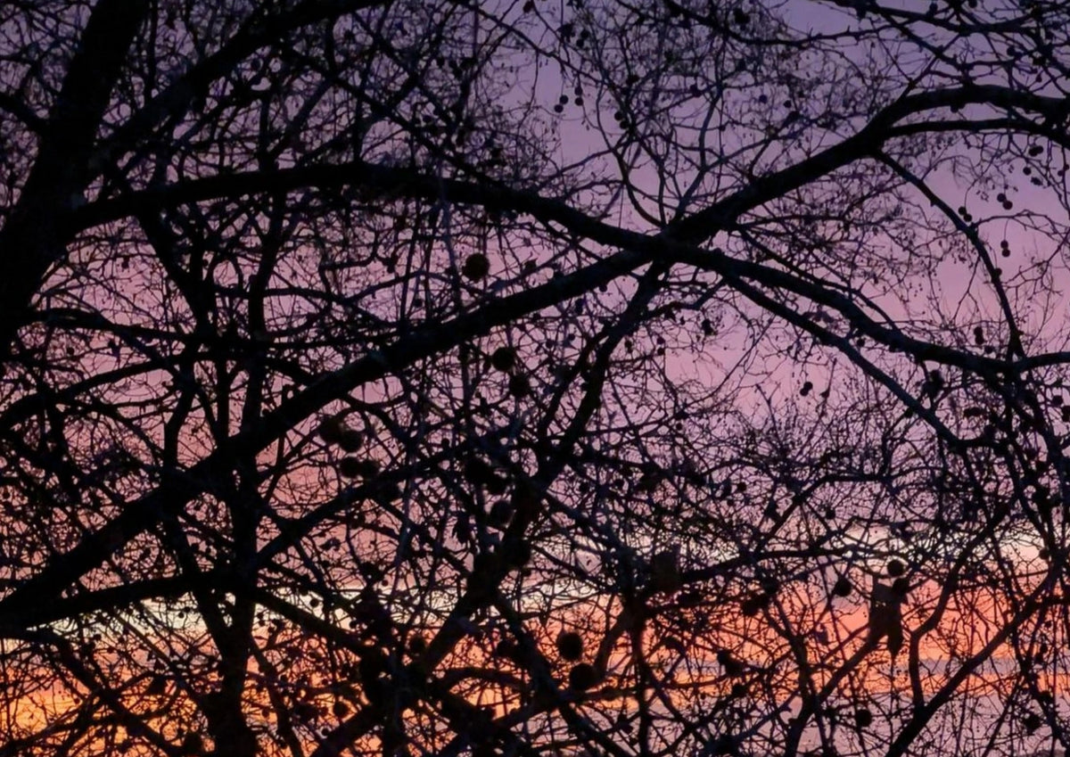 Gradients of Sunrise